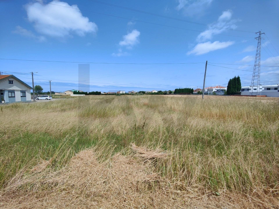 Terreno para Venda em Ílhavo (São Salvador) Foto 5