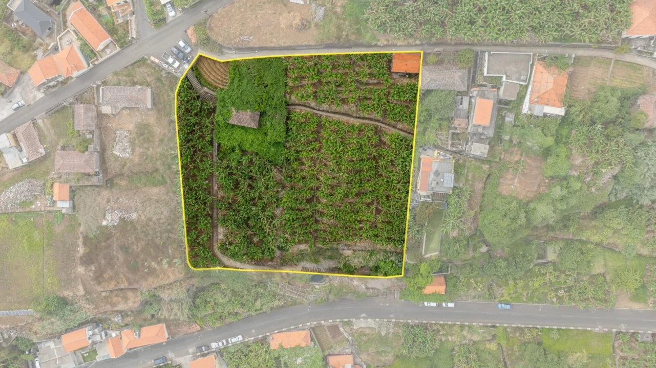 Terreno para Venda em Arco da Calheta Foto 8