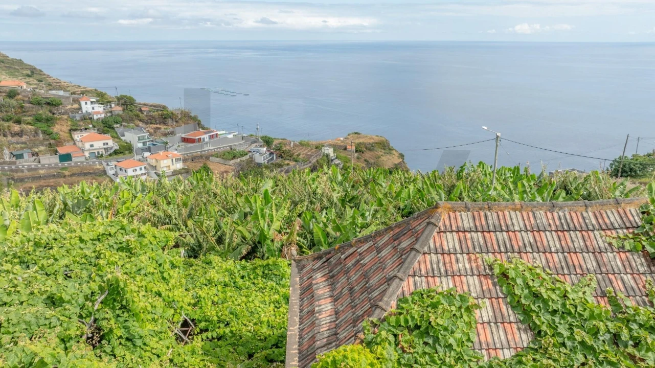 Terreno para Venda em Arco da Calheta Foto 13
