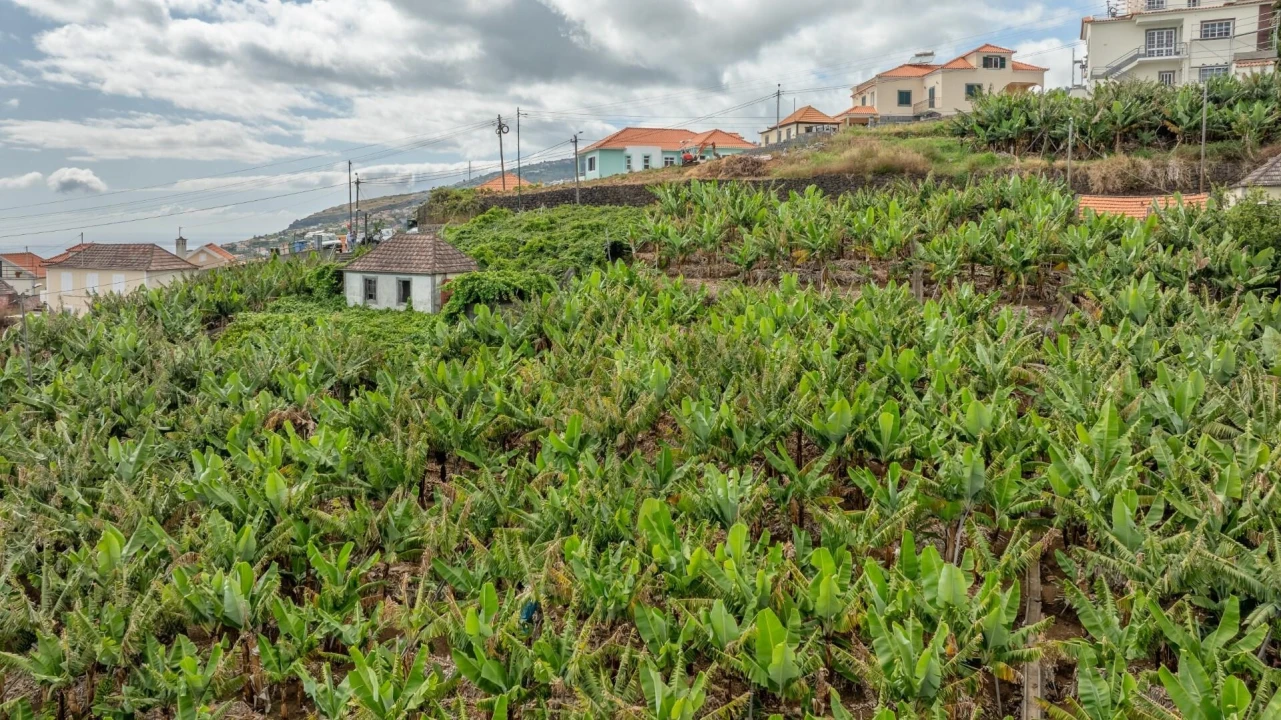 Terreno para Venda em Arco da Calheta Foto 11
