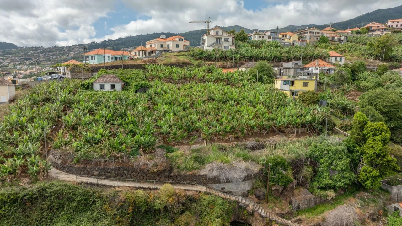 Terreno para Venda em Arco da Calheta Foto 3