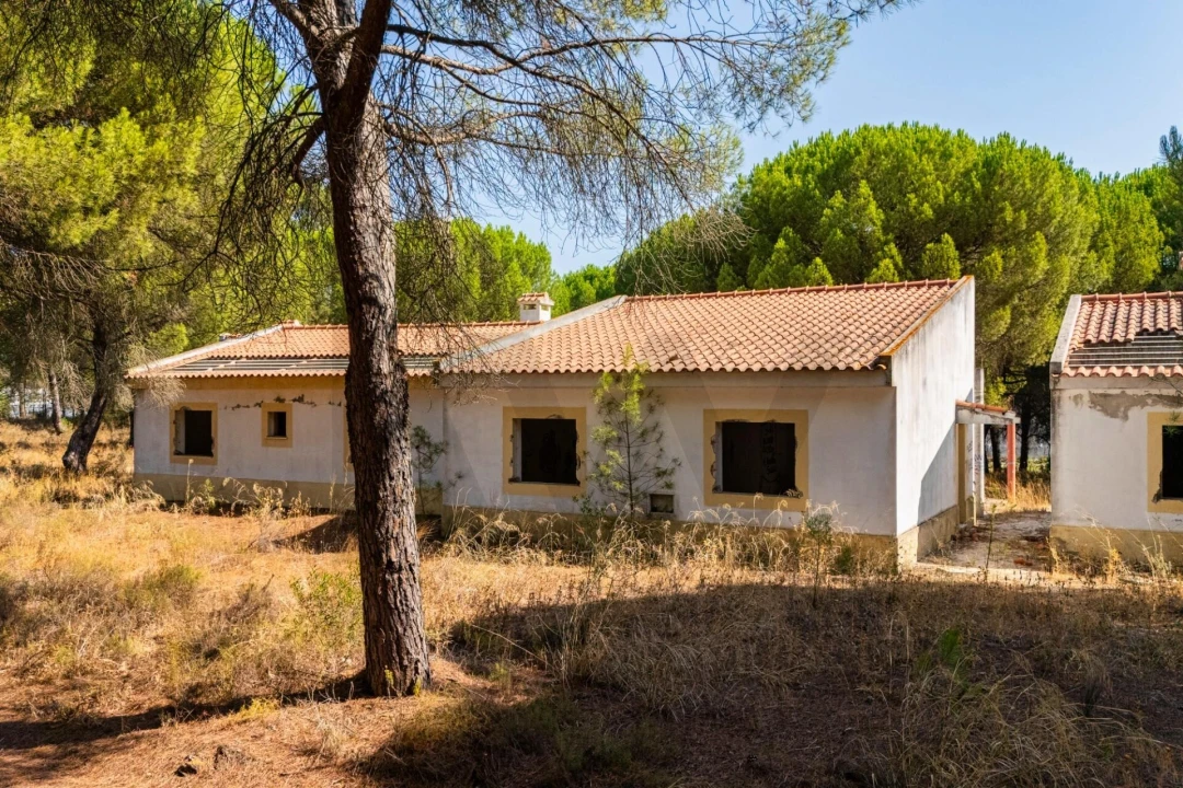 Moradia T2 para Venda em Pegões Foto 3