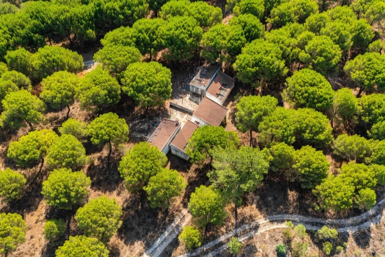 Moradia T2 para Venda em Pegões Foto 9