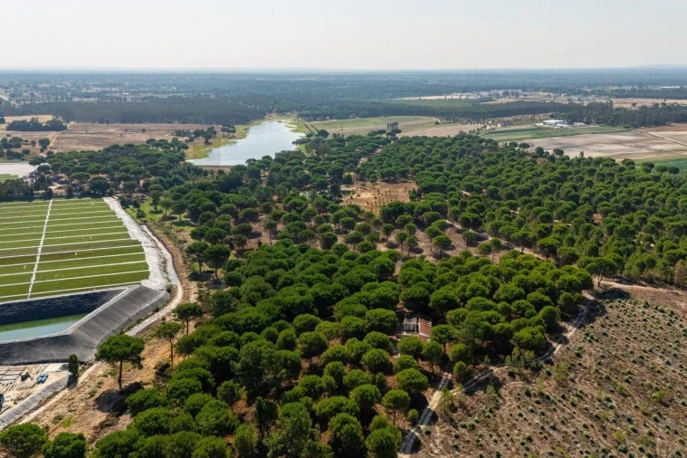 Moradia T2 para Venda em Pegões Foto 10