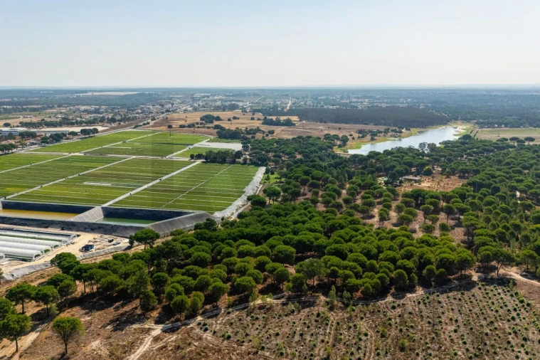 Moradia T2 para Venda em Pegões Foto 11