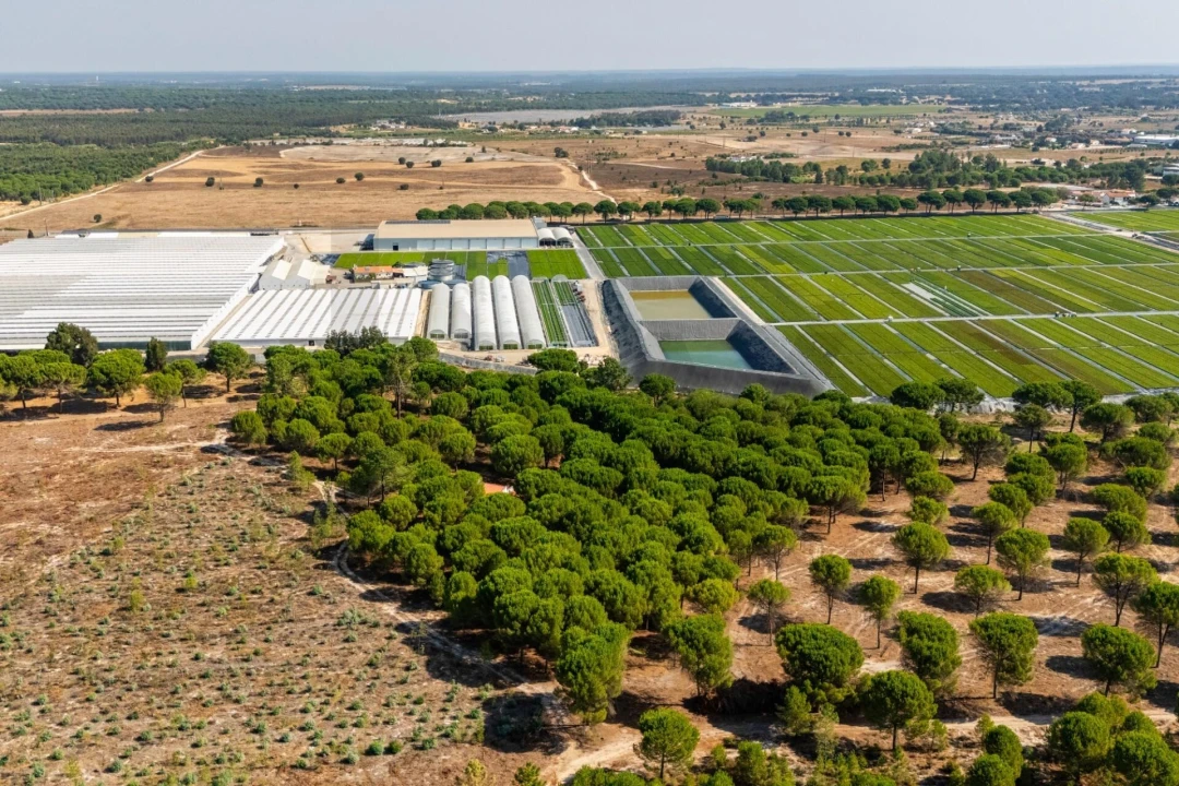 Moradia T2 para Venda em Pegões Foto 12