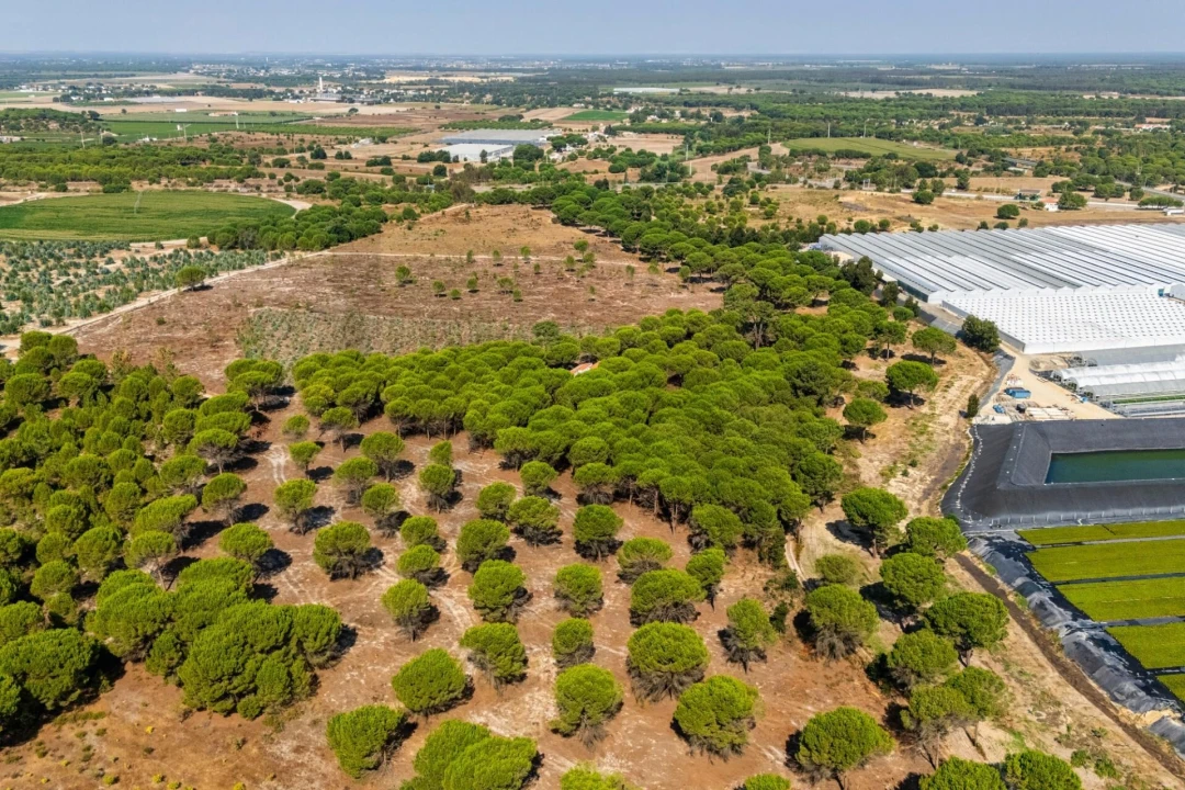 Moradia T2 para Venda em Pegões Foto 13