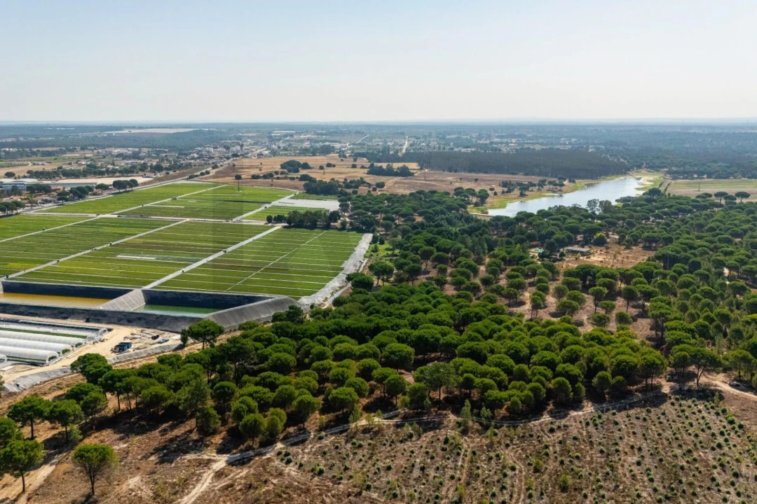 Moradia T2 para Venda em Pegões Foto 11