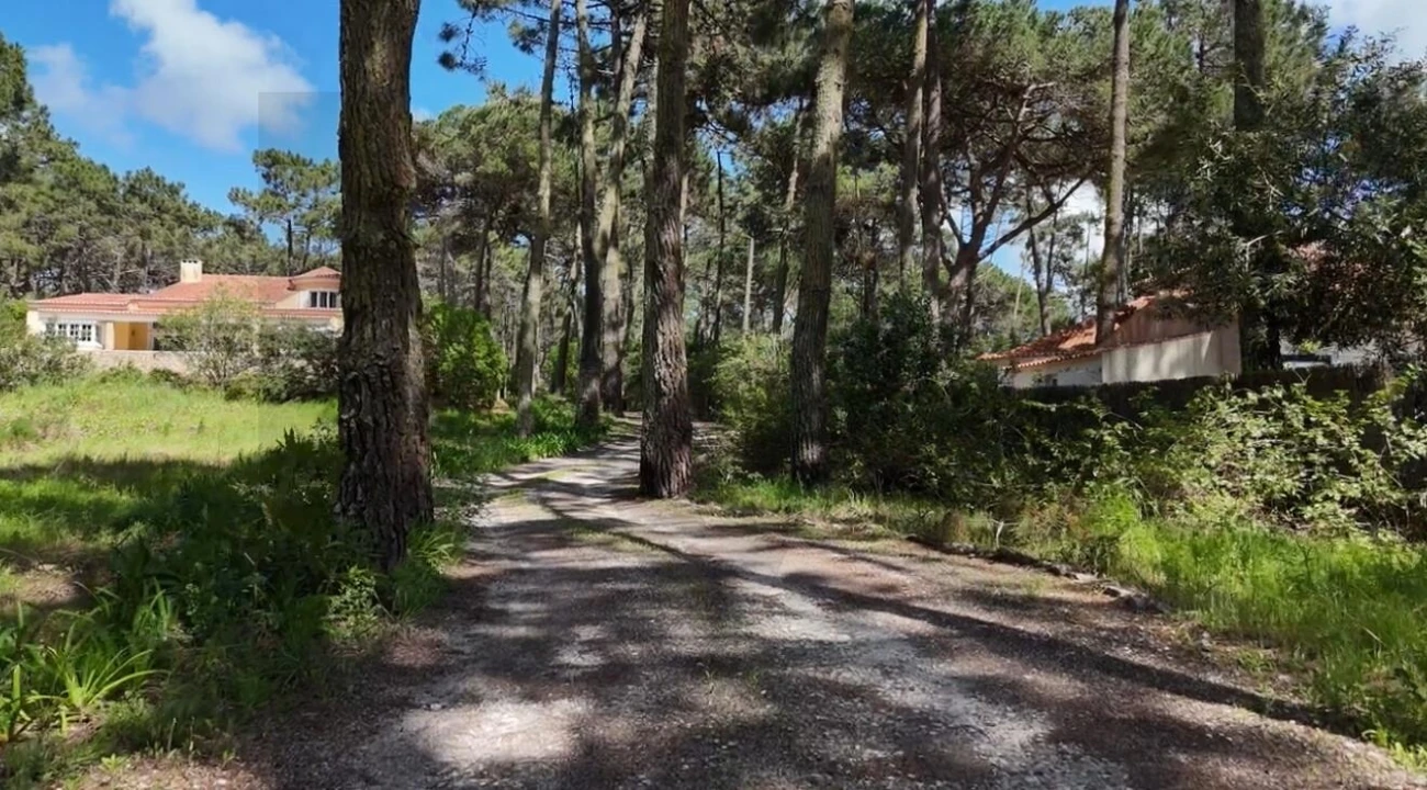 Moradia T6 para Venda em Colares Foto 3