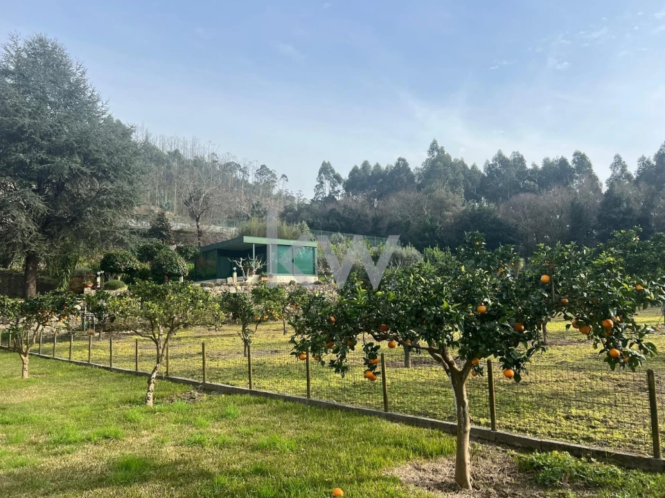 Quinta T5 para Venda em Monte Córdova Foto 79