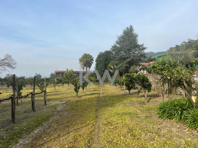 Quinta T5 para Venda em Monte Córdova Foto 85