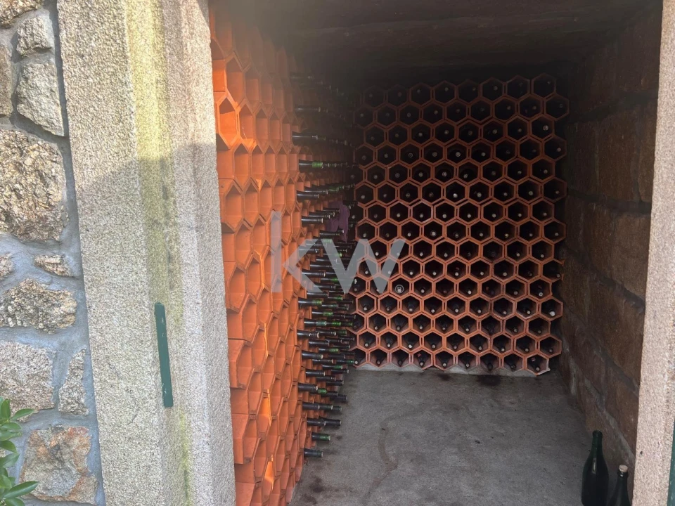 Quinta T5 para Venda em Monte Córdova Foto 91