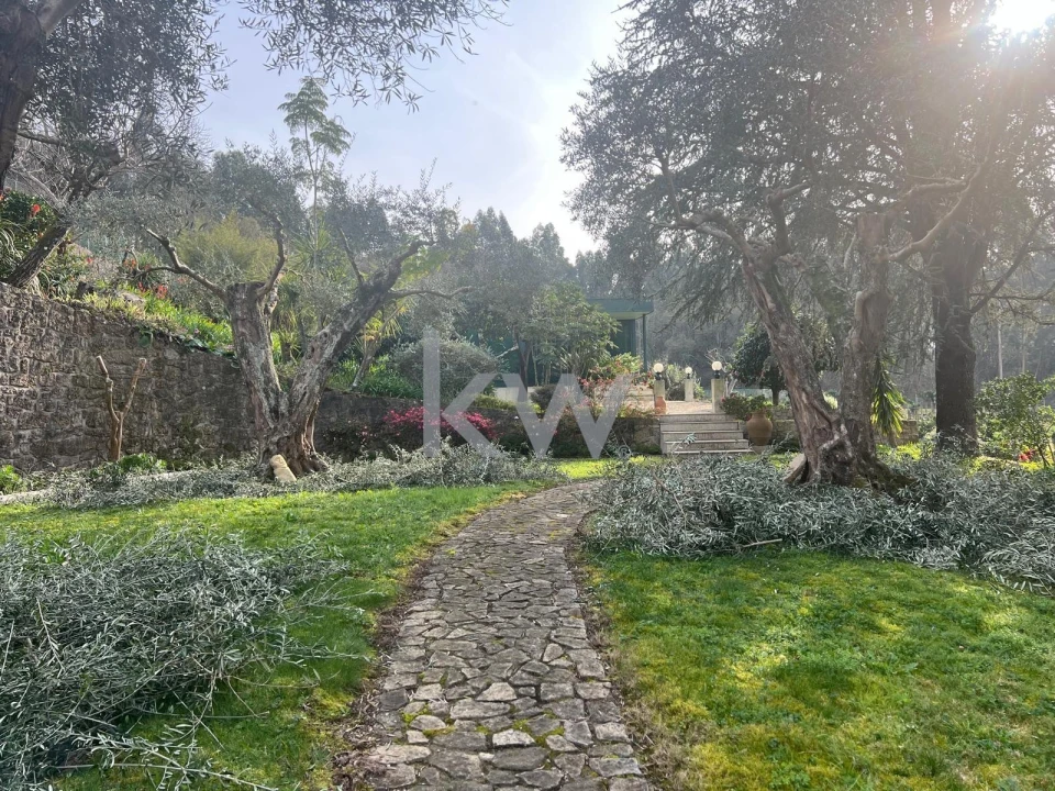 Quinta T5 para Venda em Monte Córdova Foto 89