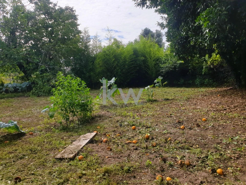 Moradia T3 para Venda em Távora (Santa Maria e São Vicente) Foto 20