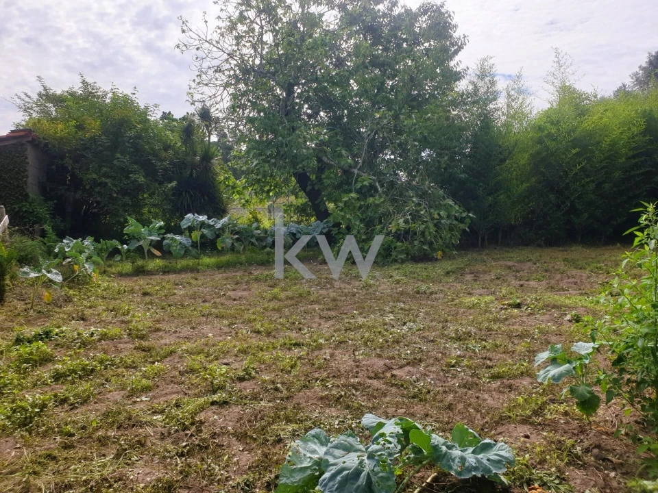 Moradia T3 para Venda em Távora (Santa Maria e São Vicente) Foto 19