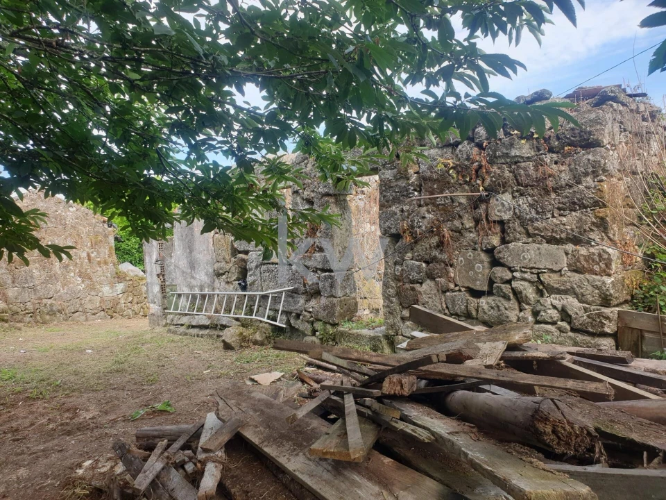 Moradia T3 para Venda em Távora (Santa Maria e São Vicente) Foto 18