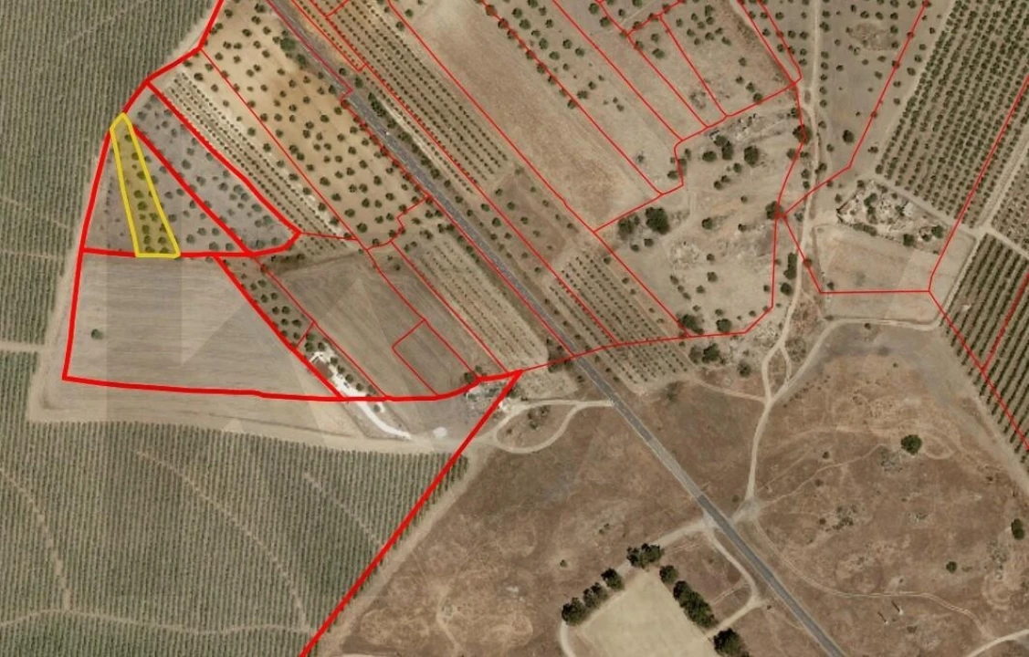 Terreno para Venda em Pedrogão Foto 17