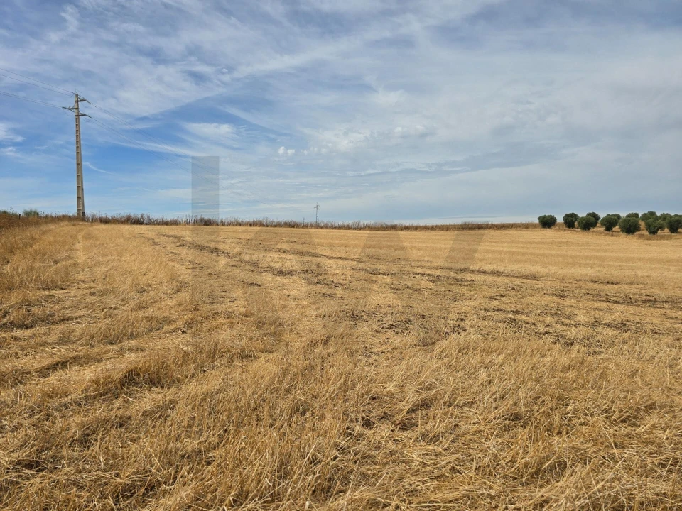 Terreno para Venda em Pedrogão Foto 7