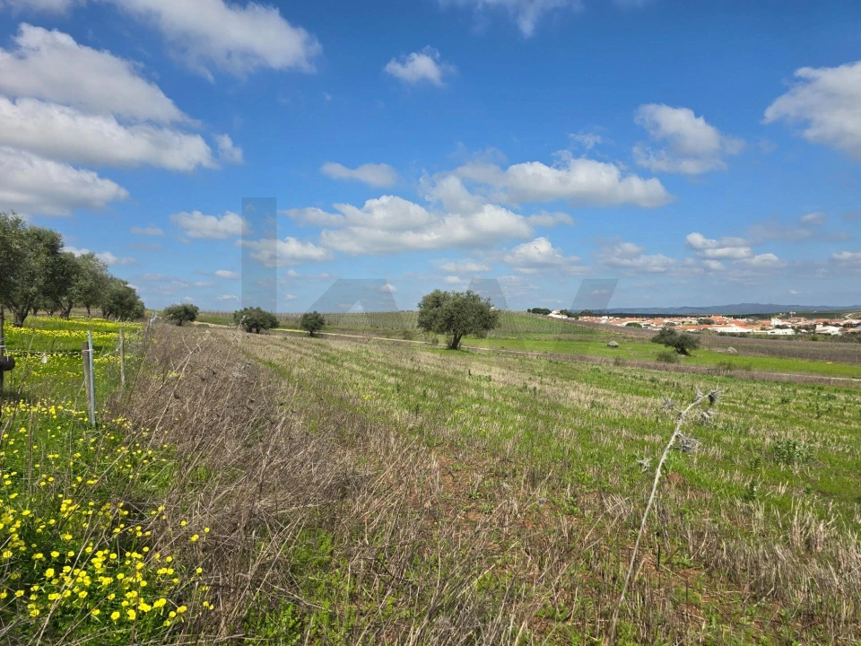 Terreno para Venda em Pedrogão Foto 17