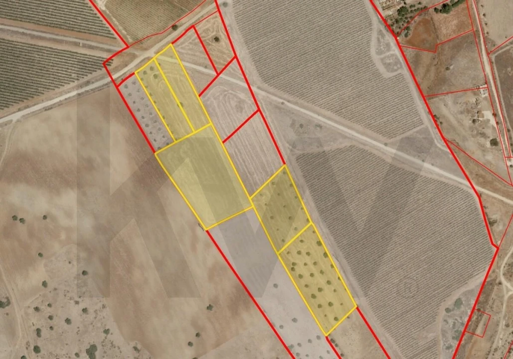 Terreno para Venda em Pedrogão Foto 16