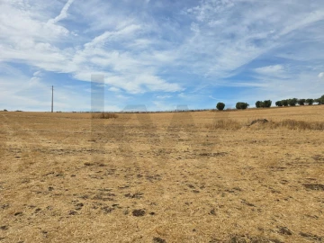 Terreno para Venda em Pedrogão