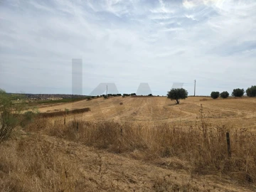 Terreno para Venda em Pedrogão