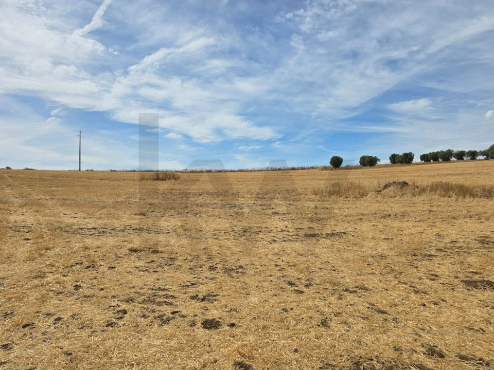 Terreno para Venda em Pedrogão Foto 12