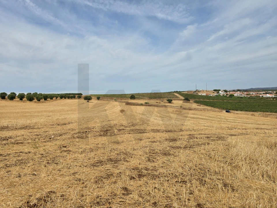 Terreno para Venda em Pedrogão Foto 10