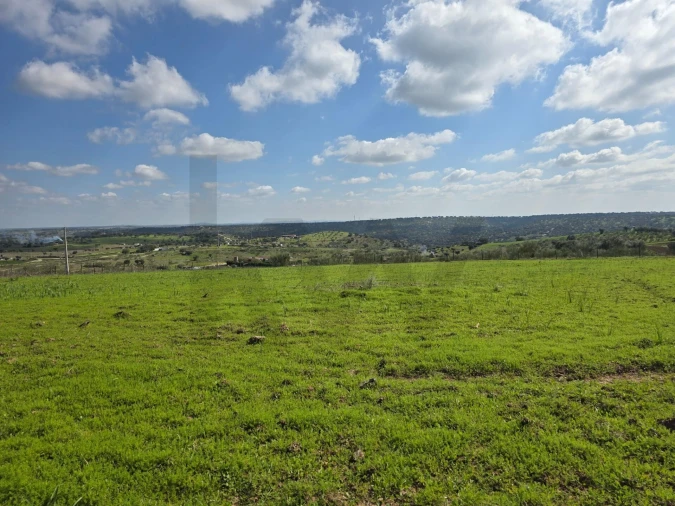 Terreno para Venda em Pedrogão Foto 7