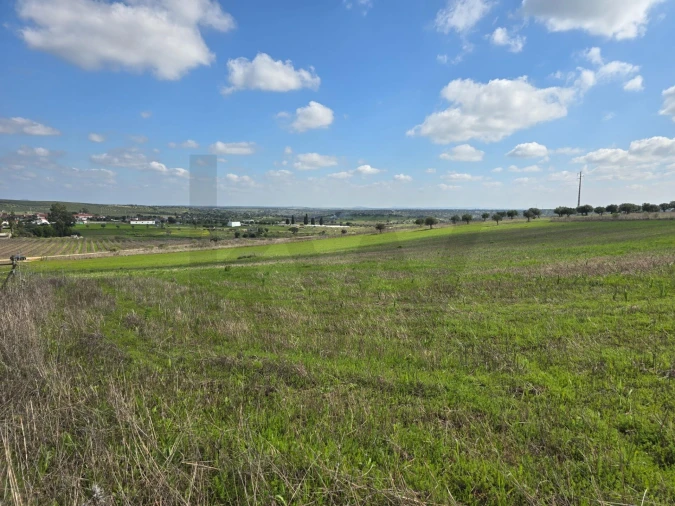 Terreno para Venda em Pedrogão Foto 16