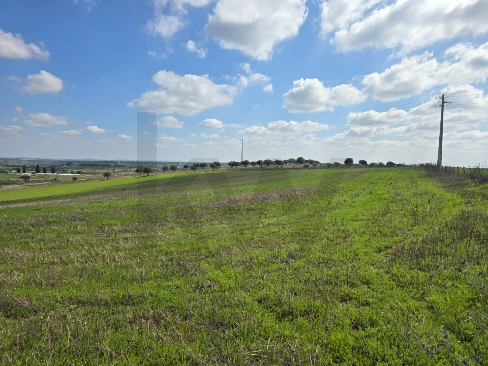 Terreno para Venda em Pedrogão Foto 15