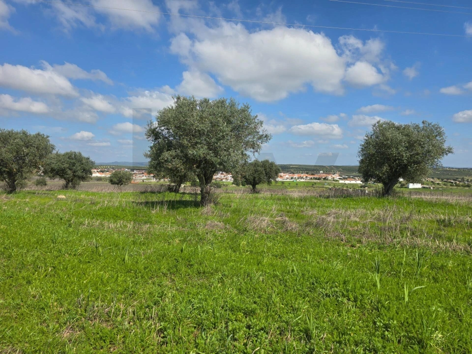 Terreno para Venda em Pedrogão Foto 10