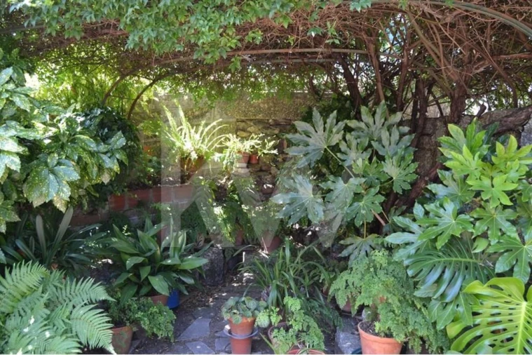 Moradia T3 para Venda em Vale de Prazeres e Mata da Rainha Foto 55