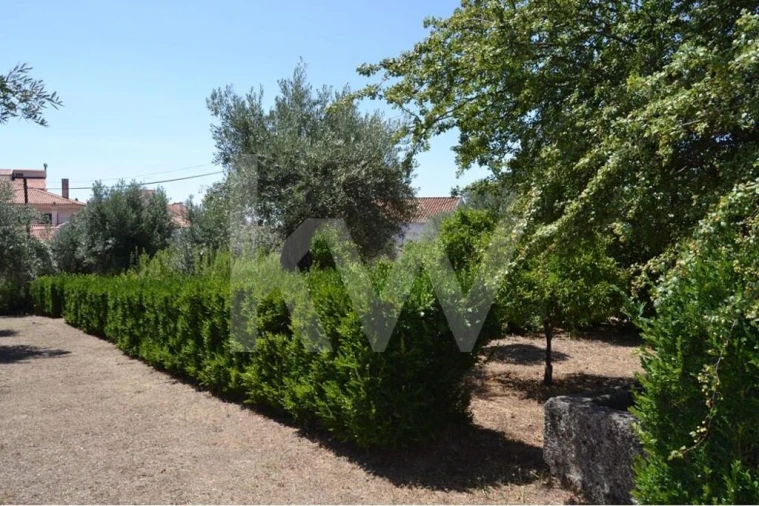 Moradia T3 para Venda em Vale de Prazeres e Mata da Rainha Foto 64