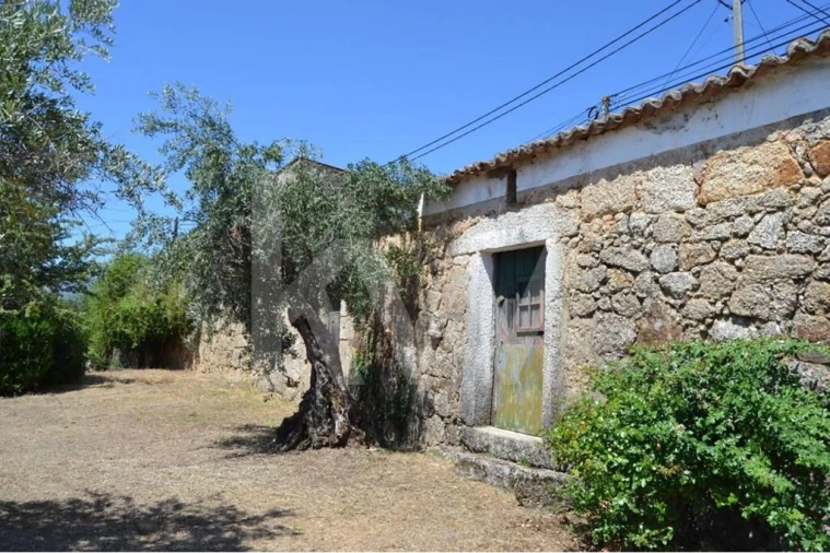 Moradia T3 para Venda em Vale de Prazeres e Mata da Rainha Foto 62