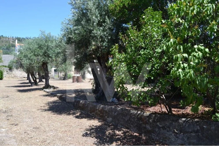 Moradia T3 para Venda em Vale de Prazeres e Mata da Rainha Foto 59