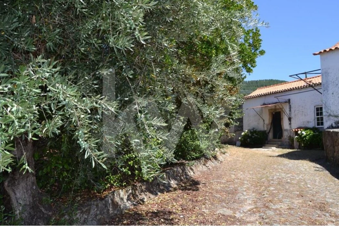 Moradia T3 para Venda em Vale de Prazeres e Mata da Rainha Foto 57