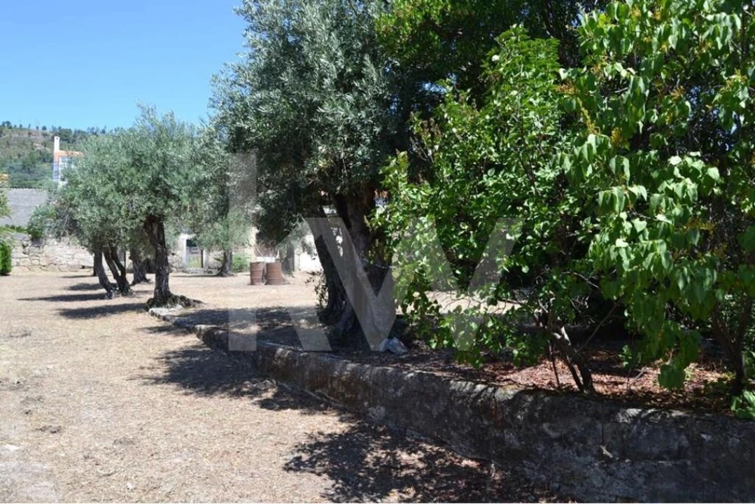 Moradia T3 para Venda em Vale de Prazeres e Mata da Rainha Foto 59