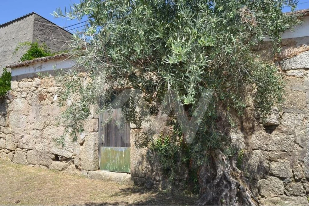 Moradia T3 para Venda em Vale de Prazeres e Mata da Rainha Foto 63