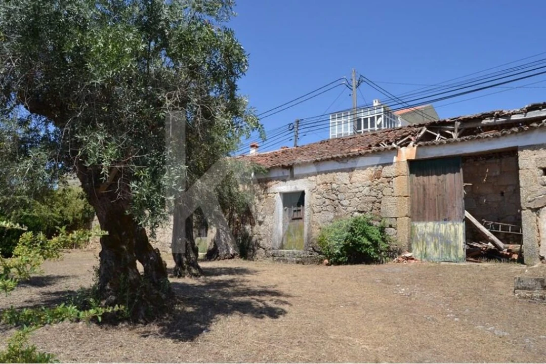 Moradia T3 para Venda em Vale de Prazeres e Mata da Rainha Foto 60