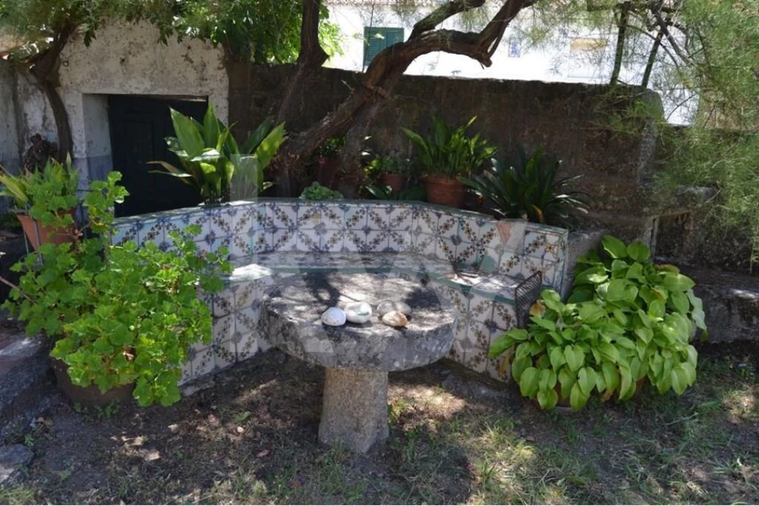 Moradia T3 para Venda em Vale de Prazeres e Mata da Rainha Foto 53