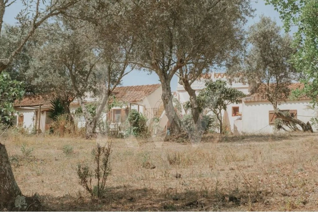 Quinta T5 para Venda em Melides Foto 30