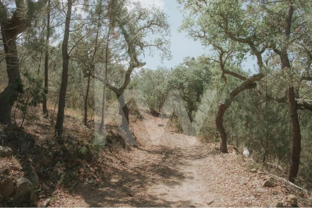 Quinta T5 para Venda em Melides Foto 45