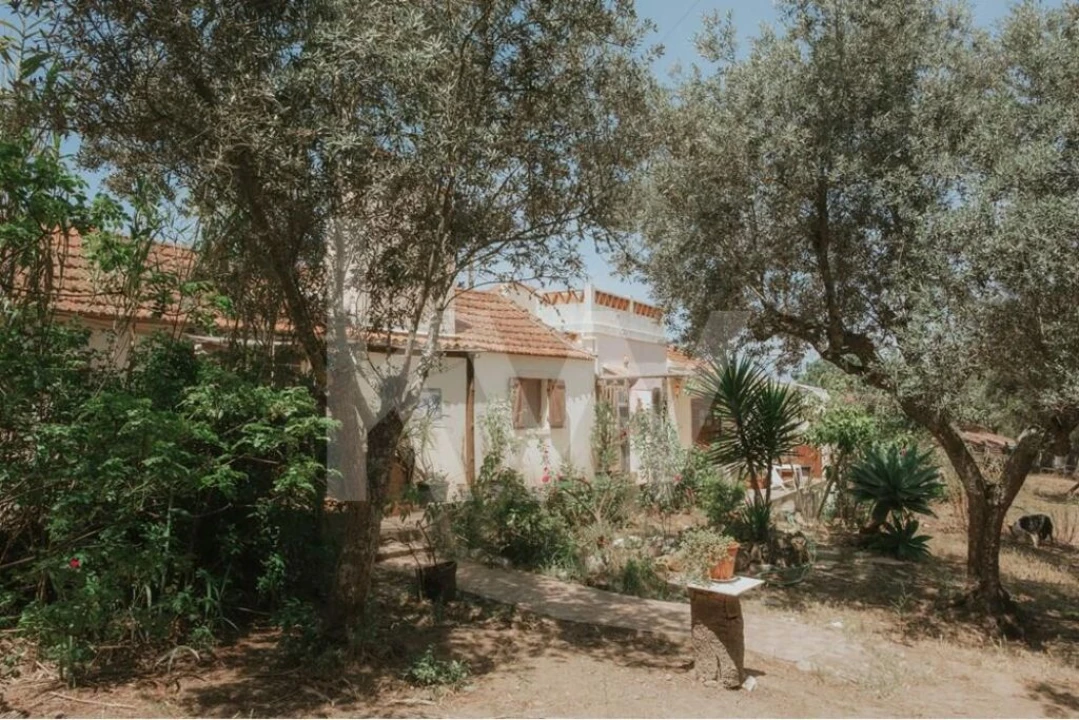 Quinta T5 para Venda em Melides Foto 1