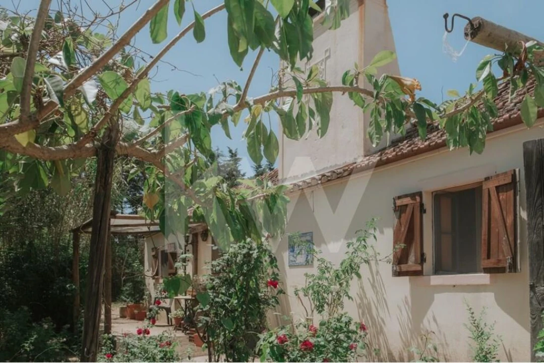 Quinta T5 para Venda em Melides Foto 14