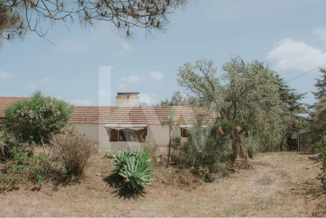 Quinta T5 para Venda em Melides Foto 27