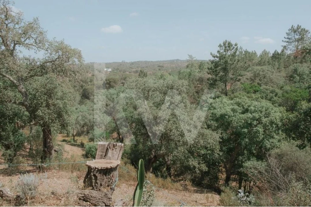 Quinta T5 para Venda em Melides Foto 8