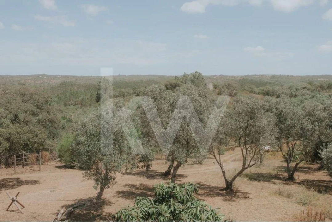 Quinta T5 para Venda em Melides Foto 2