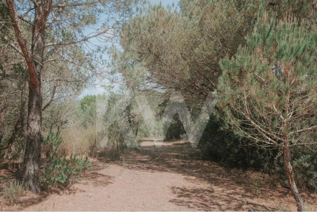 Quinta T5 para Venda em Melides Foto 15