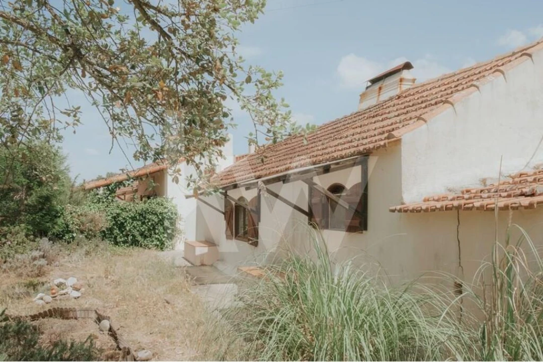 Quinta T5 para Venda em Melides Foto 16